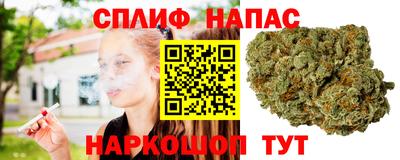 молекула духа Краснодар